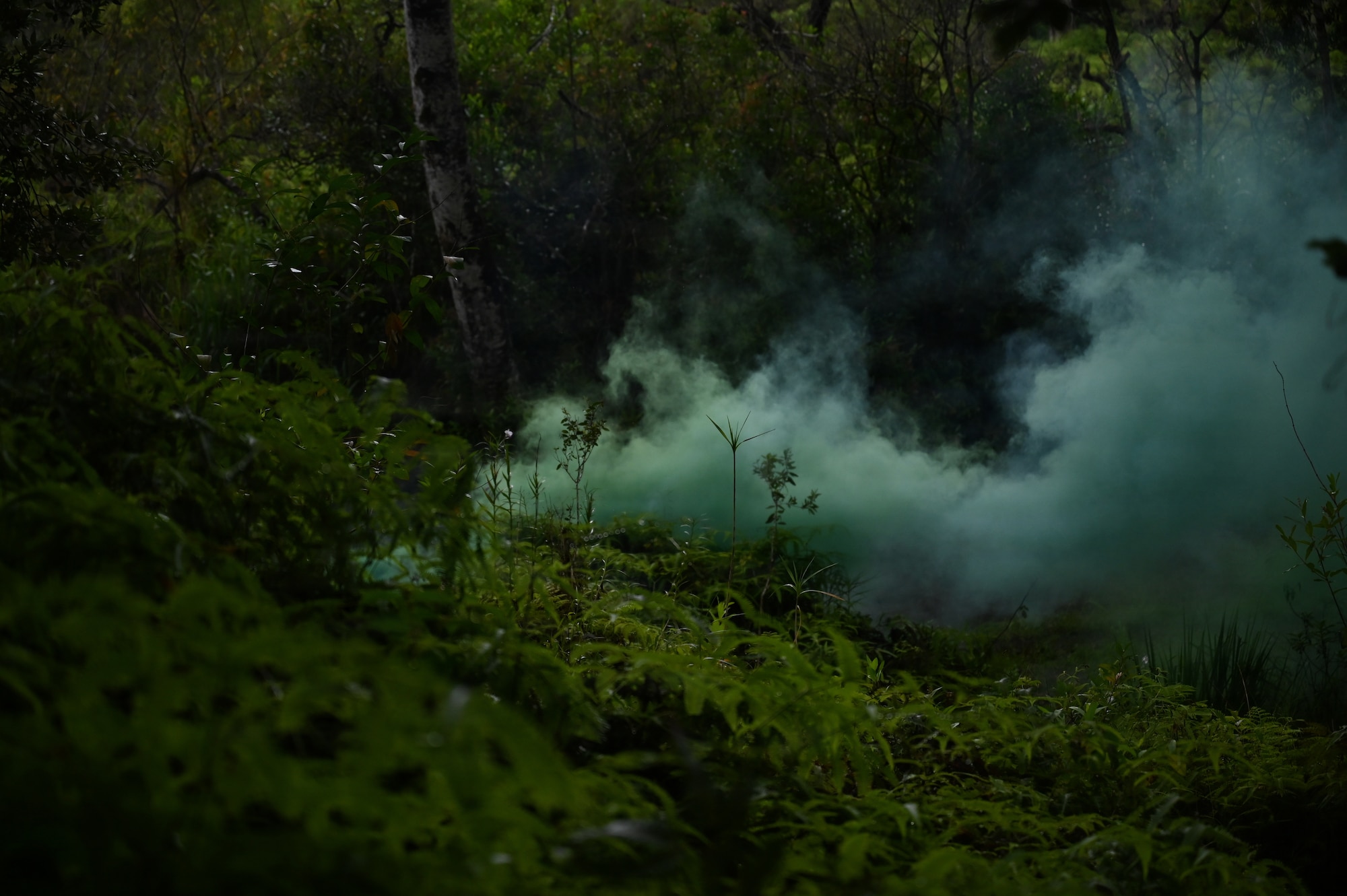 A smoke grenade releases smoke during annual training at Schofield Barracks, Hawaii, July 23, 2026. The training challenges Airmen to strengthen tactical proficiency, teamwork and expeditionary readiness while operating in unfamiliar terrain and austere conditions. (U.S. Air National Guard photo by Tech. Sgt. Tiffany Scofield)