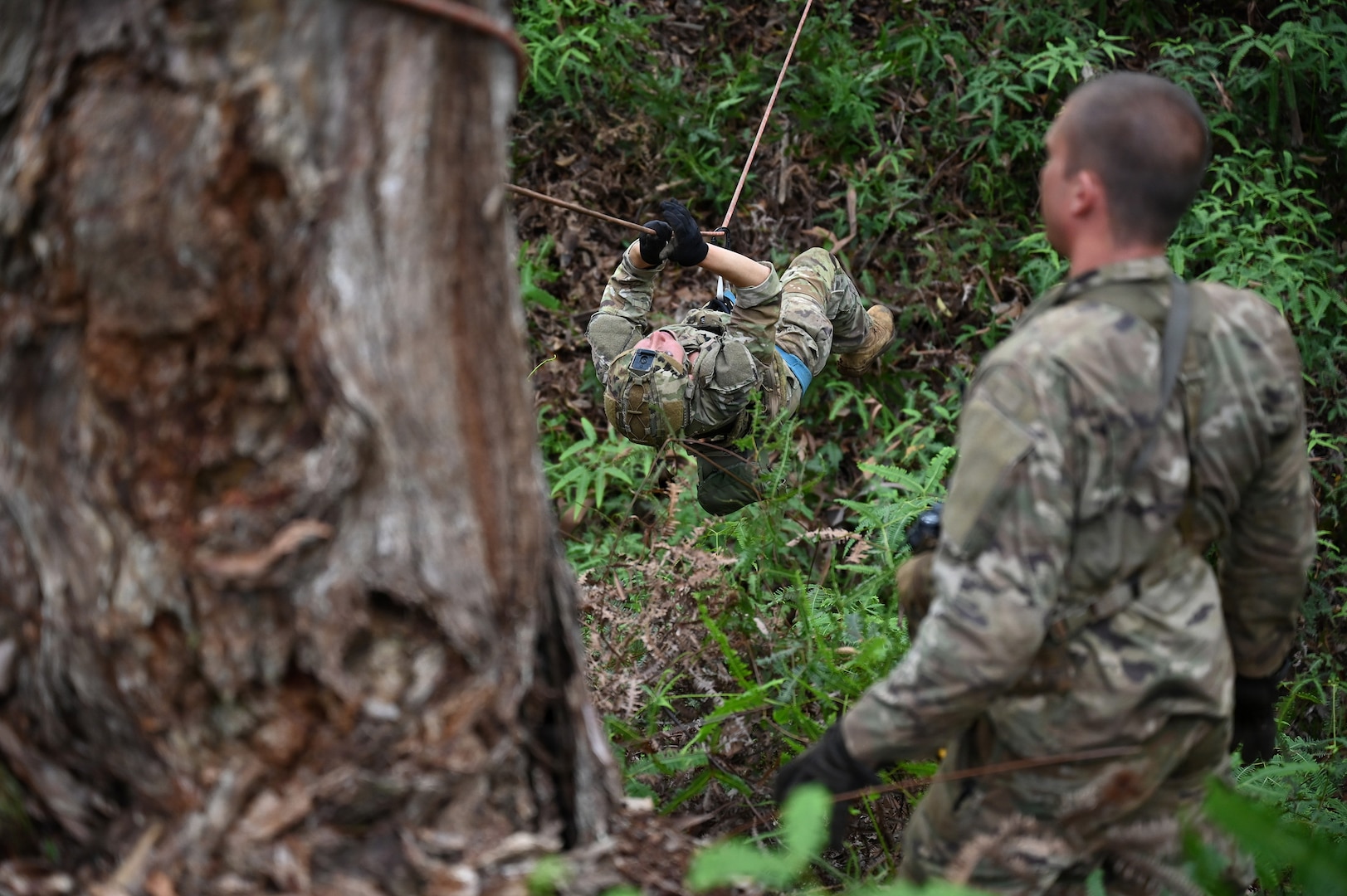 Staff Sgt. Macy Flannery, assigned to the Ohio Air National Guard's 178th Security Forces Squadron, traverses a rope bridge during rope systems training at Schofield Barracks, Hawaii, July 19, 2026.