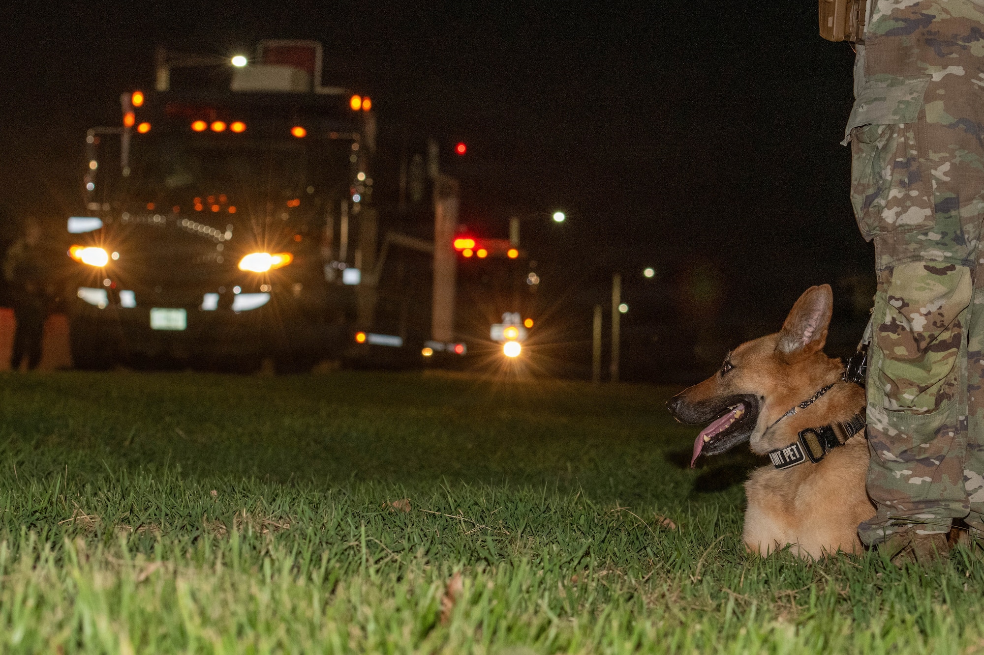 Military working dog laying on ground.