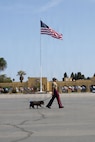 India Company Graduation