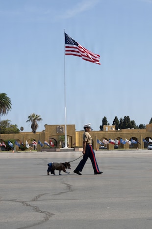 India Company Graduation
