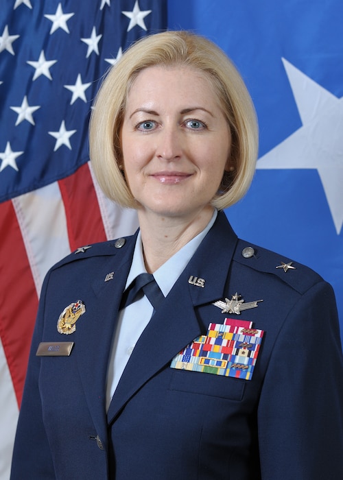 This is the official portrait of Brig. Gen. Sheila W. Wilds.