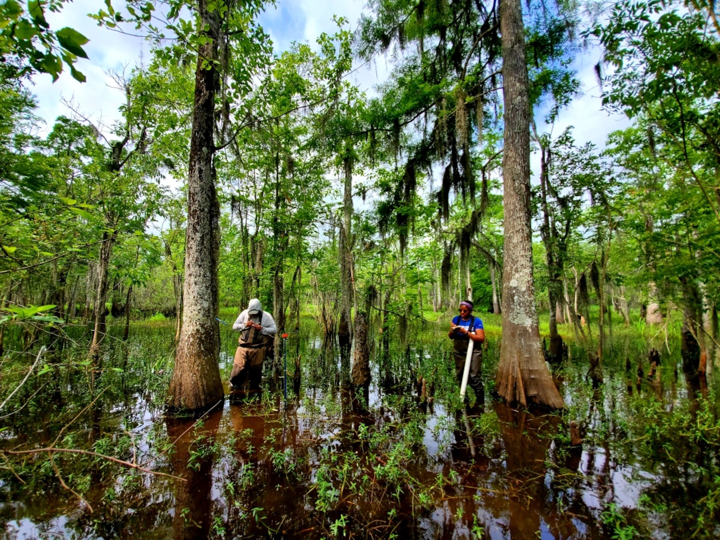 ERDC's Environmental Laboratory (EL) is assisting the U.S. Army Corps of Engineers (USACE) New Orleans District and Louisiana Coastal Protection and Restoration Authority (CPRA) to reconnect Louisiana's Maurepas Swamp with the Mississippi River improving the swamp's ecosystem . (USACE photo by Nathan Beane)