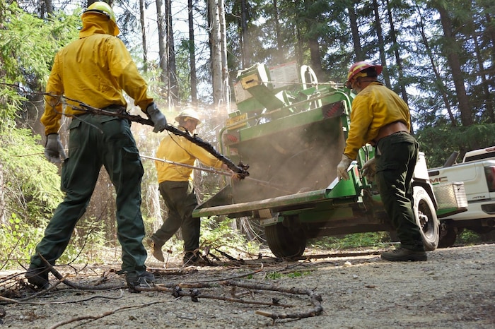 Several people dressed in firefighter gear remove brush and debris in a wooded area; some of the people put twigs and tree branches into a woodchipper.