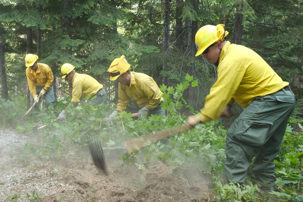 Four men wearing firefighter gear use garden tools to dig up brush from a wooded area.