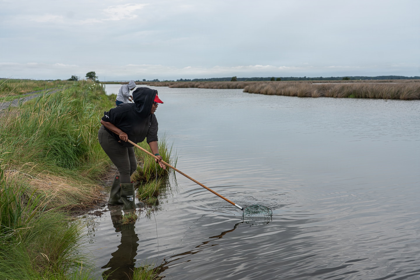 A person in a black hoodie and red cap wades in the shallow water of a marsh, using a long-handled net to retrieve a crab trap. In the background, another person stands on the grassy bank under a cloudy sky.