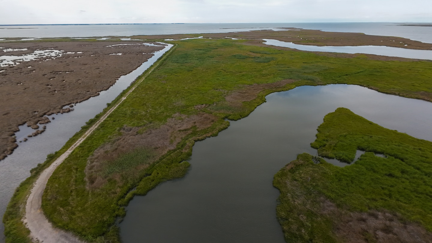 An aerial view of a coastal marsh shows a dirt road running alongside a narrow channel of water. The landscape is a mix of green and brown marsh grasses, interspersed with larger bodies of water, under a cloudy sky.