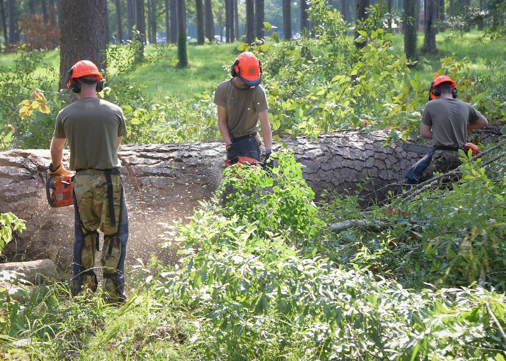 Airmen from Key Field Assist in Tree Removal