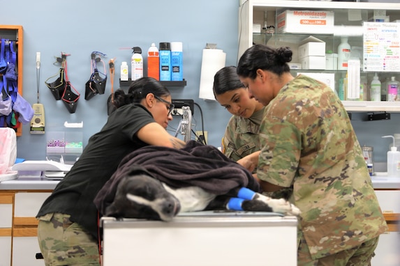 Sparta Vet Clinic 109th Medical Detachment (Veterinary Services) WAREX 2026