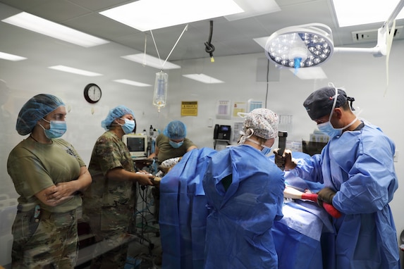Sparta Vet Clinic 109th Medical Detachment (Veterinary Services) WAREX 2026