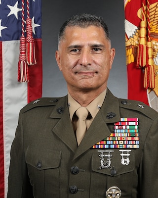 Portrait of Director, Reserve Affairs Division