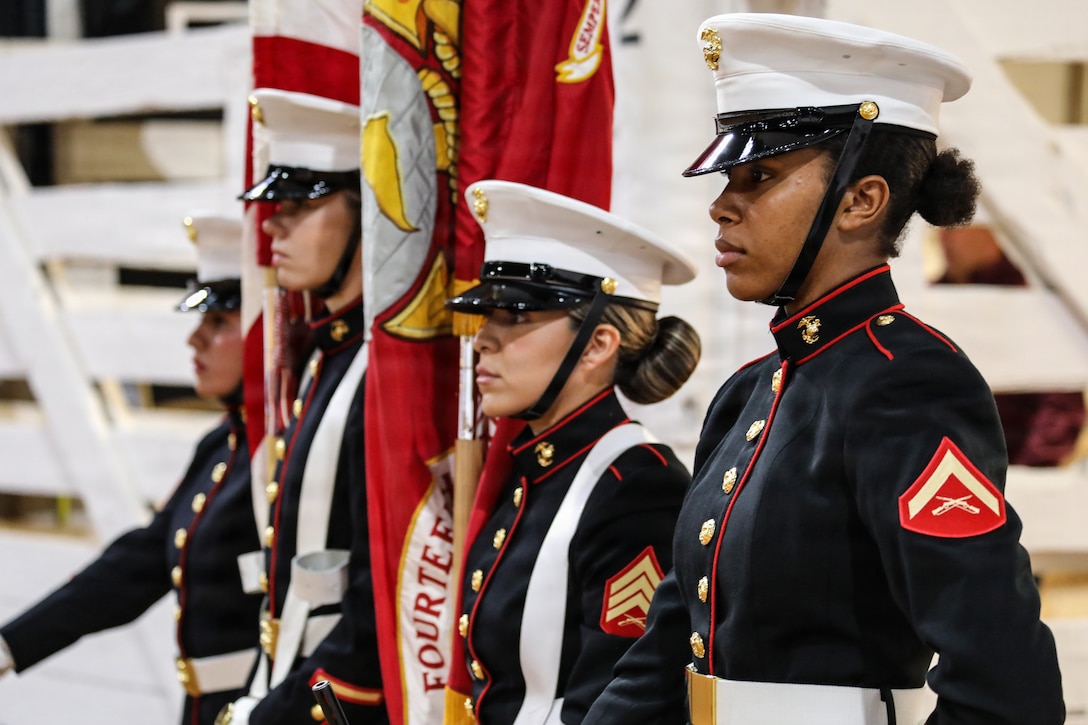 Honoring Freedom Night was an event created to highlight the connection between veterans and horses and its role in building trust, restoring confidence, and creating pathways to healing and positive mental health.