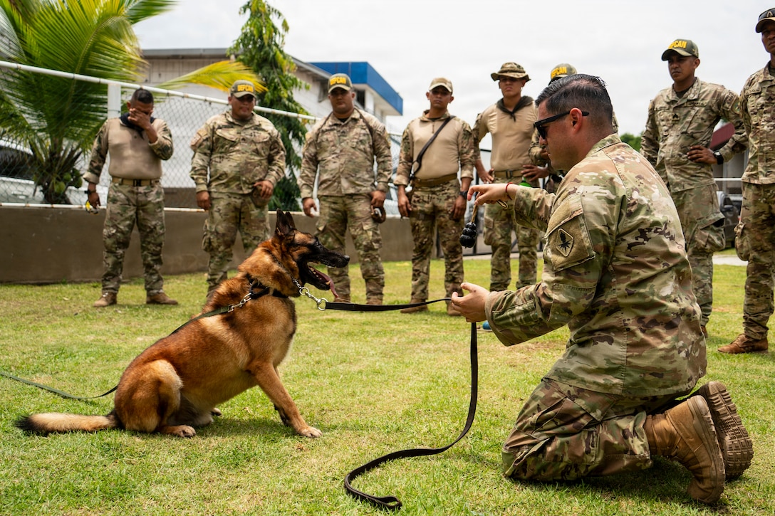 A U.S. Army service member (right) holds a leash to a military working dog (left)