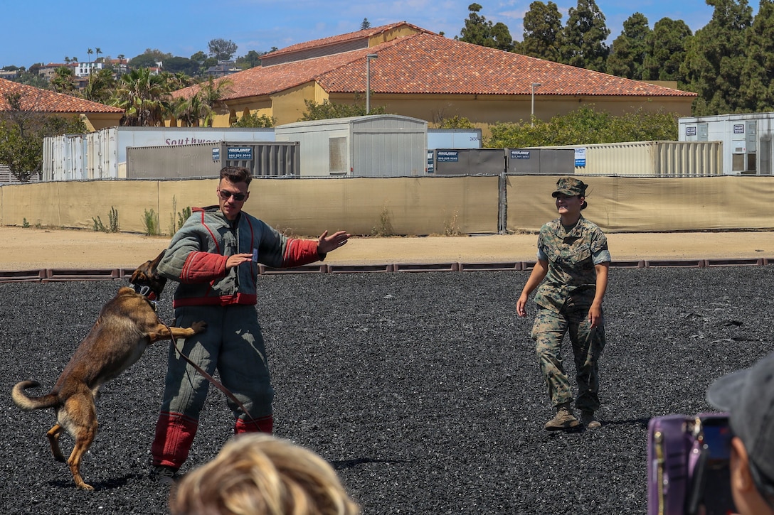 USMC