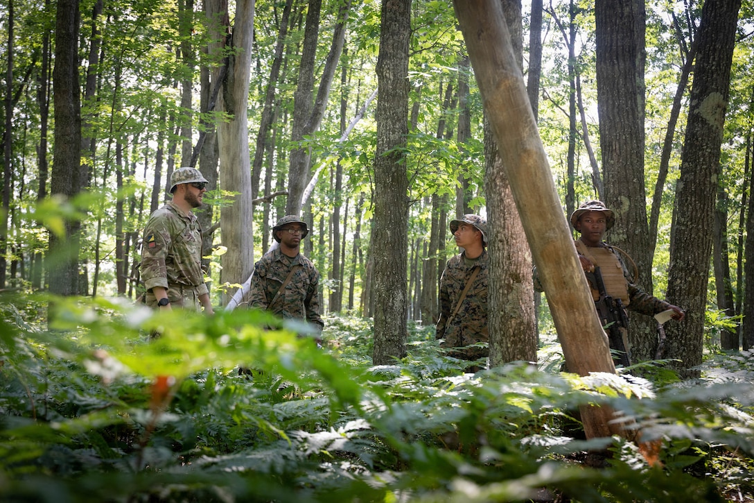 Northern Strike 26-2 | 4th Combat Readiness Regiment and multi-national countries conduct Land Navigation