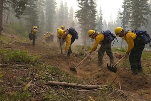 A dozen people wearing firefighter uniforms and hard hats use tools to clear debris to create a fire line in the forest as another person in similar attire guides them.