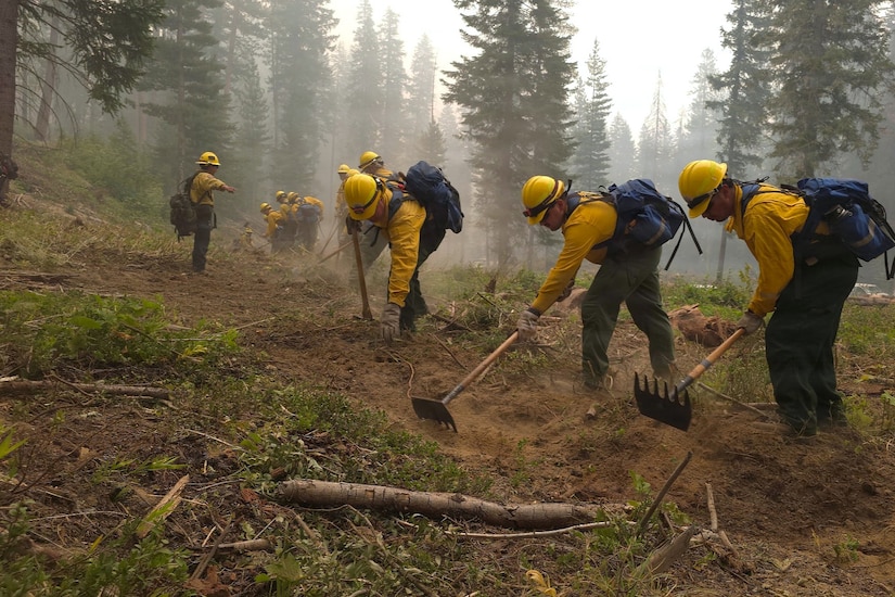 A dozen people wearing firefighter uniforms and hard hats use tools to clear debris to create a fire line in the forest as another person in similar attire guides them.