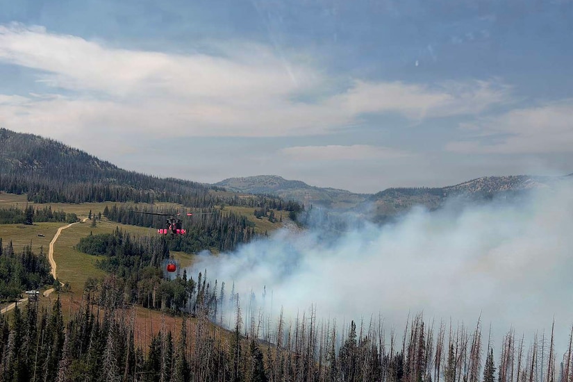 Flames engulf a canyon forest as smoke billows into the sky.