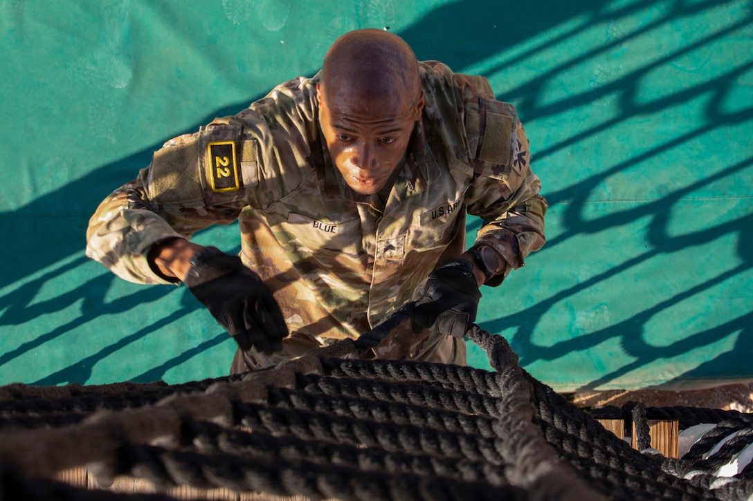 A soldier shown from above climbs a rope ladder, the shadows of which make a pattern on the green surface below.