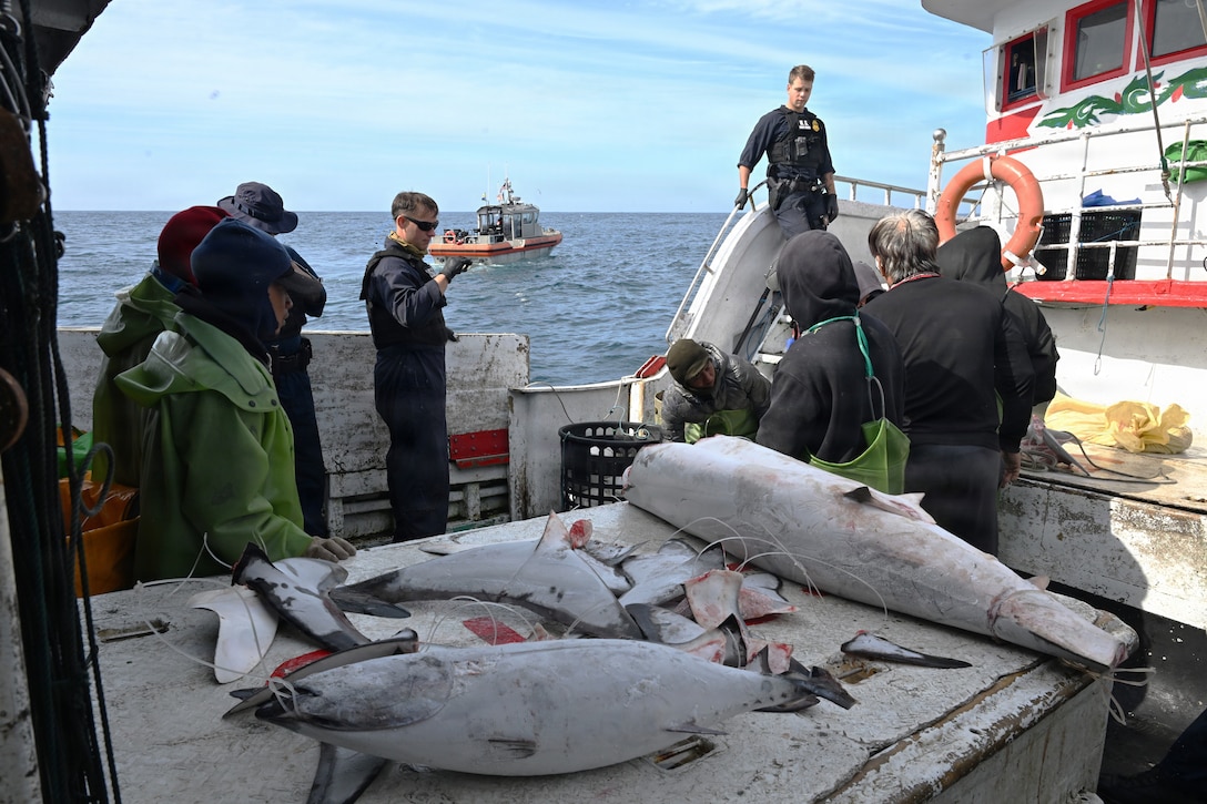 A U.S. Coast Guard Legend-class cutter Midgett (WMSL 757) boarding team speaks to the captain and crew of a fishing vessel as they inspect and document their reported catch during a law enforcement boarding under the Regional Fisheries Management Organizations (RFMO) authority in the Pacific Ocean, July 1, 2026. RFMO boardings ensure compliance with international fisheries regulations and counter illegal, unregulated and unreported fishing in the Pacific Ocean. (U.S. Coast Guard Photo by Petty Officer 3rd Class Austin Wiley)
