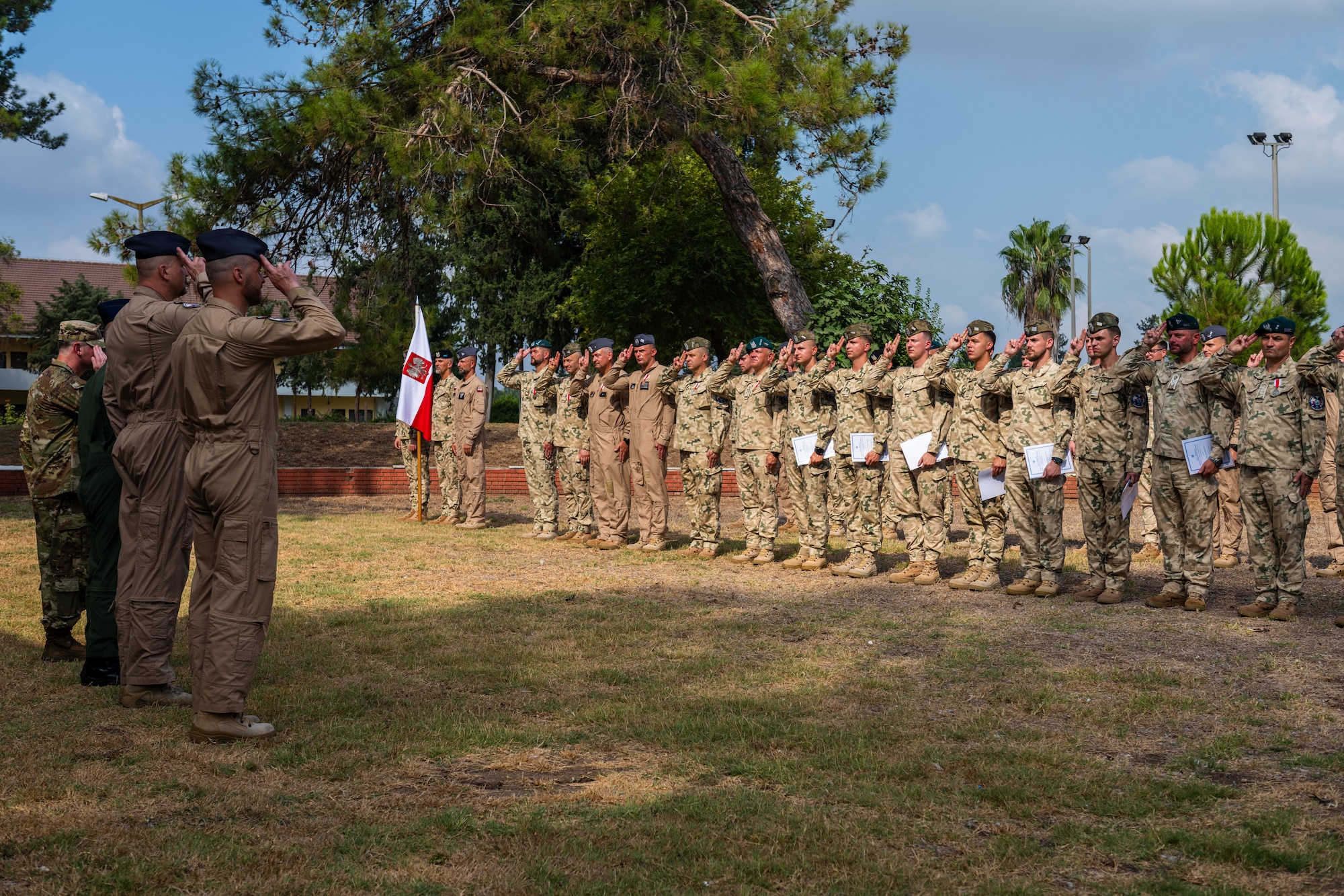 Members assigned to the Polish Military Contingent salute.