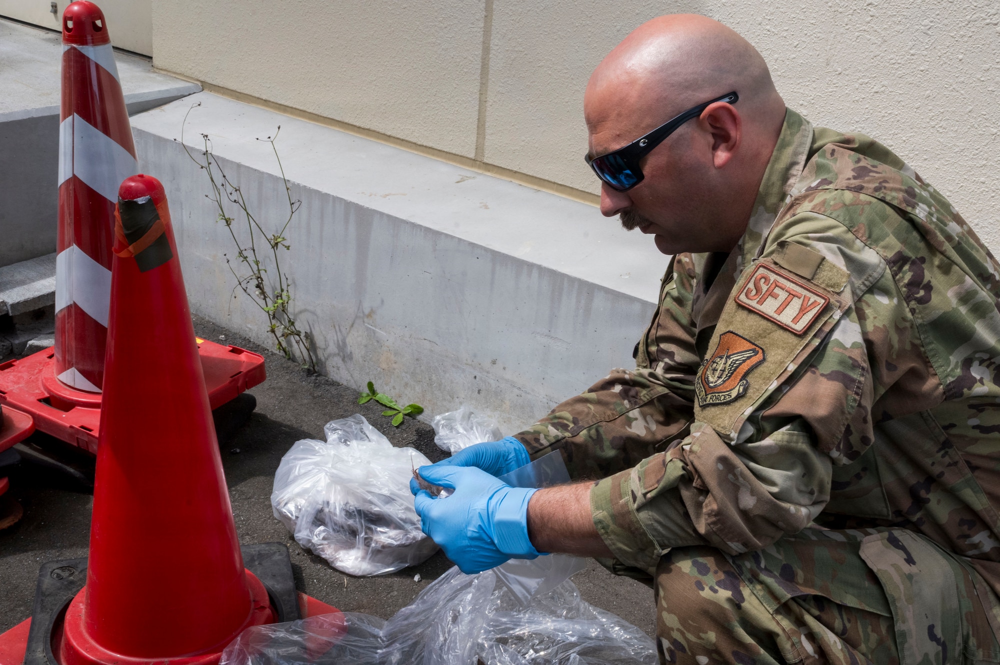 U.S. Air Force Tech. Sgt. Christopher Frank, 35th Fighter Wing aviation safety noncommissioned officer, collects wildlife remains following a bird-strike incident during a Wild Weasel Walk-Through at Misawa Air Base, Japan, Aug. 18, 2026.