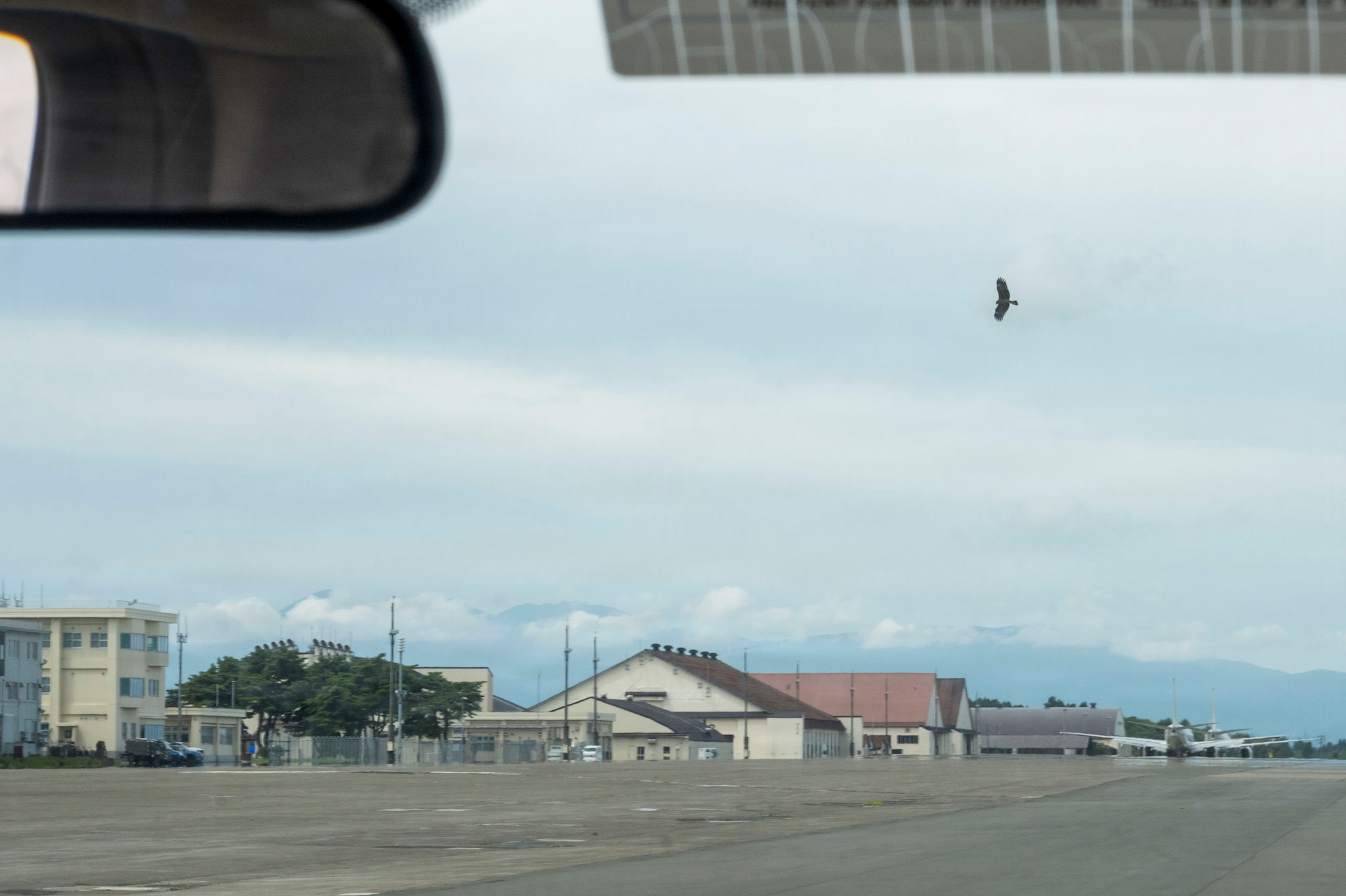 A Japanese Black Kite flies near the airfield at Misawa Air Base, Japan, Aug. 18, 2026.