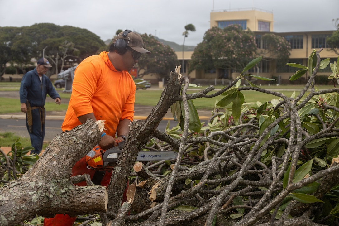 Mel Estalilla, right, a civilian employee with Marine Corps Base Hawaii Facilities, cuts tree branch remains during a base clean-up at MCBH, Aug. 17, 2026. Marines and civilian personnel worked together across MCBH to clear debris and downed trees, advancing vital hurricane recovery efforts while reinforcing the installation’s enduring commitment to environmental stewardship. (U.S. Marine Corps photo by Lance Cpl. Nicholas Figueroa)