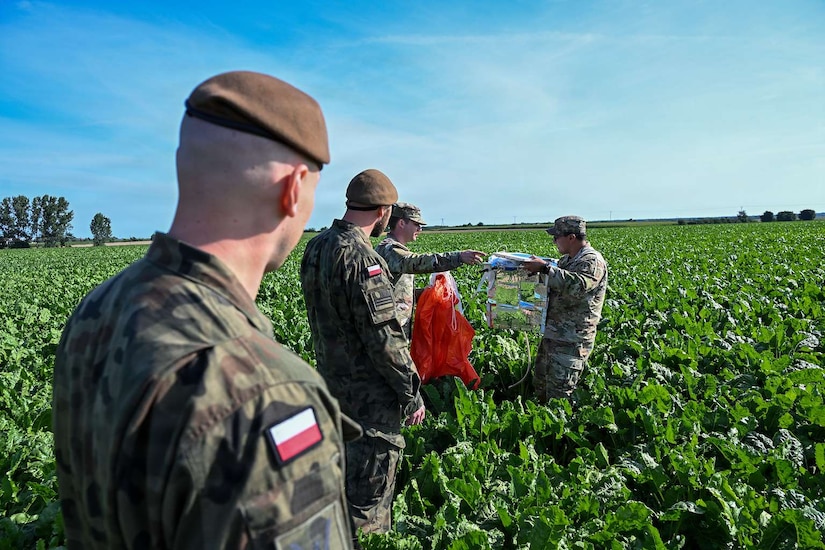Men wearing camouflage military uniforms retrieve a military balloon from an open field.