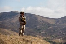 U.S. Marine Corps Sgt. Christian Nava, a joint terminal attack controller instructor with Fire Support Battalion, 11th Marine Regiment, 1st Marine Division, observes downrange during a Tactical Air Control Party exercise at Marine Corps Base Camp Pendleton, California, Aug. 13, 2026. The exercise was the culminating event for the TACP School, which trains forward air controllers and joint terminal attack controllers to better coordinate air support assets and calls for fire.  Nava is a native of California. (U.S. Marine Corps photo by Cpl. Stella Tedesco)