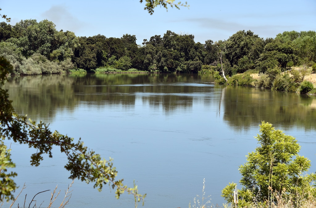 Trees surrounding water.