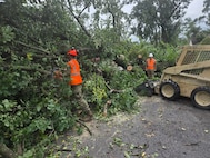 Indiana National Guardsmen with 113th Engineer Battalion clear arboreal debris in Gary, Indiana, in response to devastating storms that swept through the state Aug. 14, 2026.