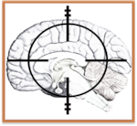 An image of a brain with a target on top. By engaging the tools and techniques of the neurosciences, contemporary and near future approaches to cognitive warfare increasingly target key structures and functions of the human brain to affect thought, emotions and behaviors, essentially establishing the brain and mind as a viable and valuable battlespace.
