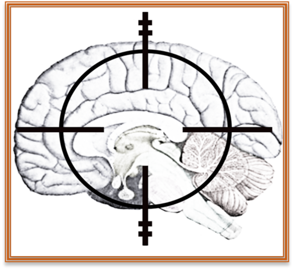 An image of a brain with a target on top. By engaging the tools and techniques of the neurosciences, contemporary and near future approaches to cognitive warfare increasingly target key structures and functions of the human brain to affect thought, emotions and behaviors, essentially establishing the brain and mind as a viable and valuable battlespace.