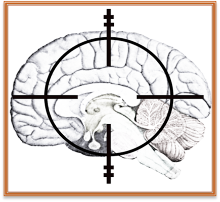 An image of a brain with a target on top. By engaging the tools and techniques of the neurosciences, contemporary and near future approaches to cognitive warfare increasingly target key structures and functions of the human brain to affect thought, emotions and behaviors, essentially establishing the brain and mind as a viable and valuable battlespace.