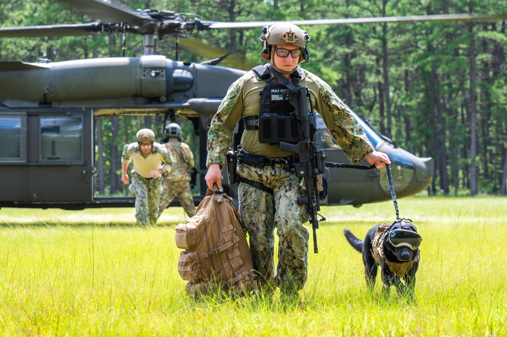 U.S. Navy Petty Officer 1st Class Tyler Conklin, 87th Security Forces Squadron military working dog handler, walks with MWD Pepper, at Joint Base McGuire-Dix-Lakehurst, N.J., Aug. 18, 2026.