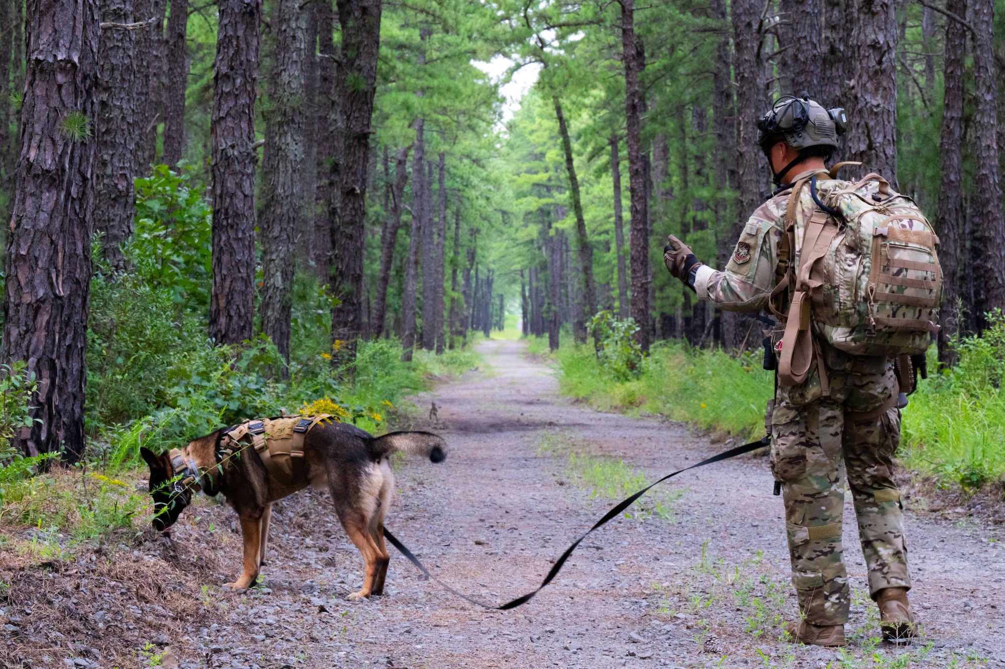 U.S. Air Force Senior Airman Sean Garcia Perez, 87th Security Forces Squadron military working dog handler, give commands to MWD Torro at Joint Base McGuire-Dix-Lakehurst, N.J., Aug. 18, 2026.