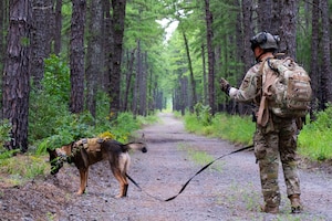 U.S. Air Force Senior Airman Sean Garcia Perez, 87th Security Forces Squadron military working dog handler, give commands to MWD Torro at Joint Base McGuire-Dix-Lakehurst, N.J., Aug. 18, 2026.