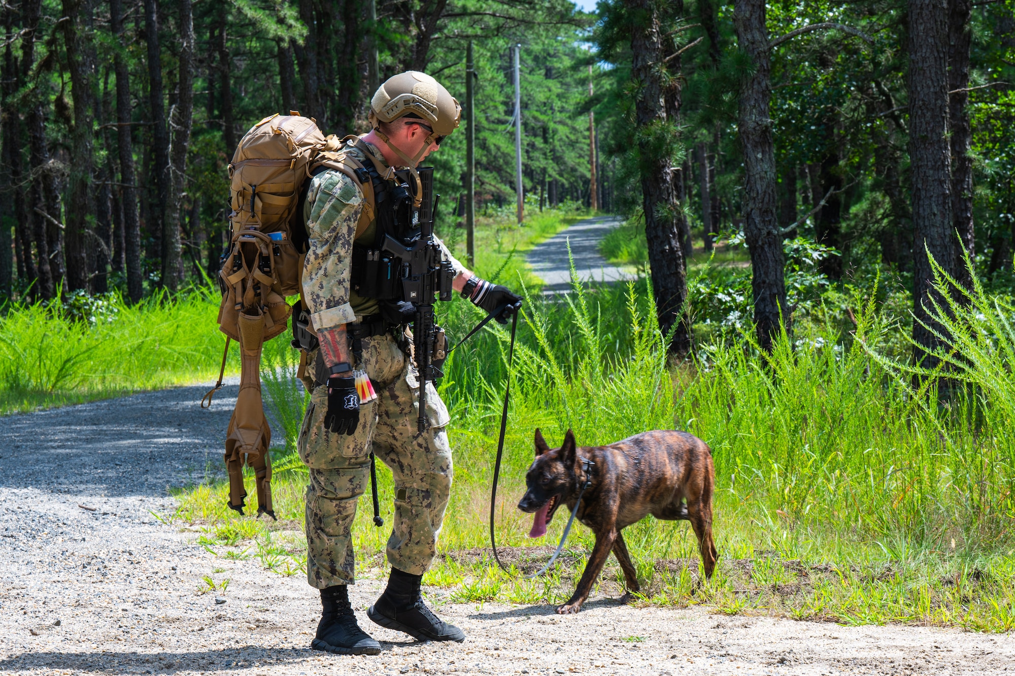 U.S. Navy Petty Officer 2nd Class Vince McArtor, 87th Security Forces Squadron military working dog handler, walks with MWD Shazam during an exercise at Joint Base McGuire-Dix-Lakehurst, N.J., Aug. 18, 2026.