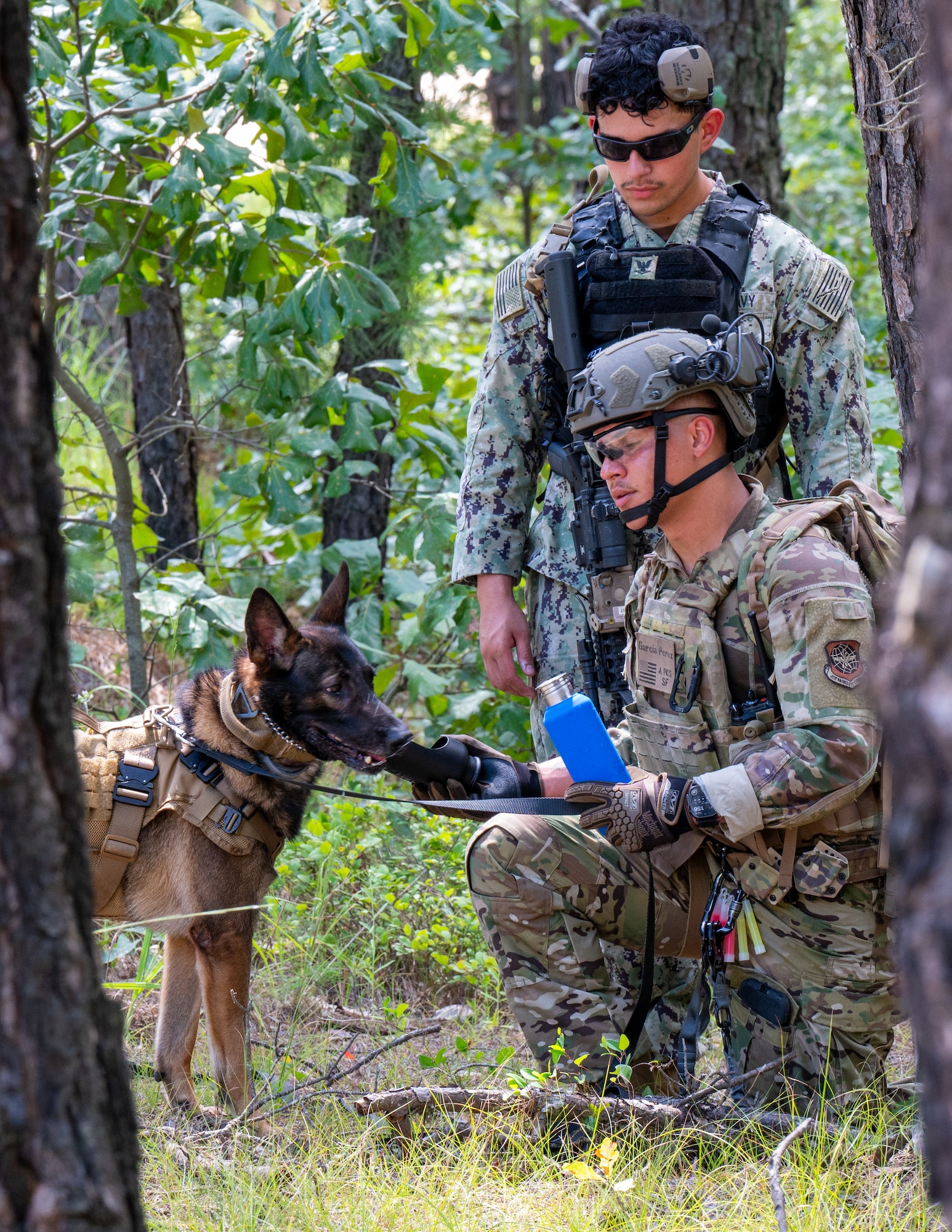 U.S. Air Force Senior Airman Sean Garcia Perez, 87th Security Forces Squadron military working dog handler, gives water to MWD Torro alongside U.S. Navy Petty Officer 3rd Class Juan Robledo Cantu, 87th SFS master-at-arms, at Joint Base McGuire-Dix-Lakehurst, N.J., Aug. 18, 2026.