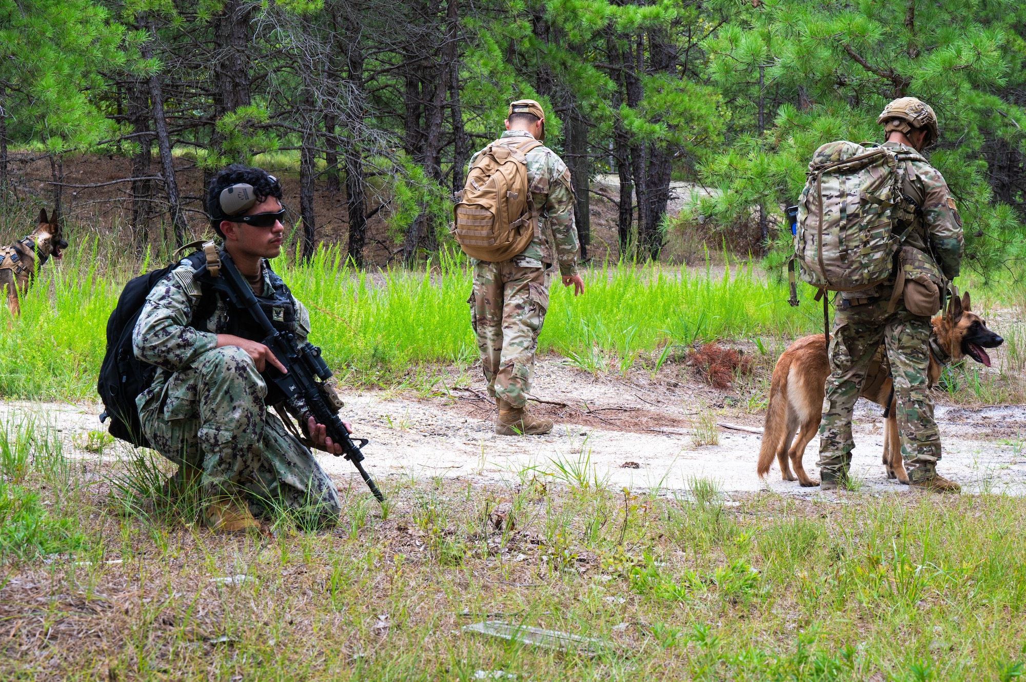 U.S. Navy Petty Officer 3rd Class Juan Robledo Cantu, 87th Security Forces Squadron master-at-arms, kneels during an exercise at Joint Base McGuire-Dix-Lakehurst, N.J., Aug. 18, 2026.