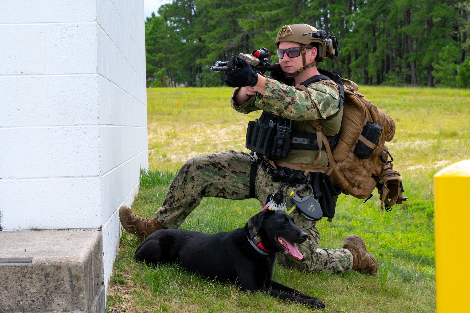 U.S. Navy Petty Officer 1st Class Tyler Conklin, 87th Security Forces Squadron military working dog handler, holds security outside a building with MWD Pepper at Joint Base McGuire-Dix-Lakehurst, N.J., Aug. 18, 2026.