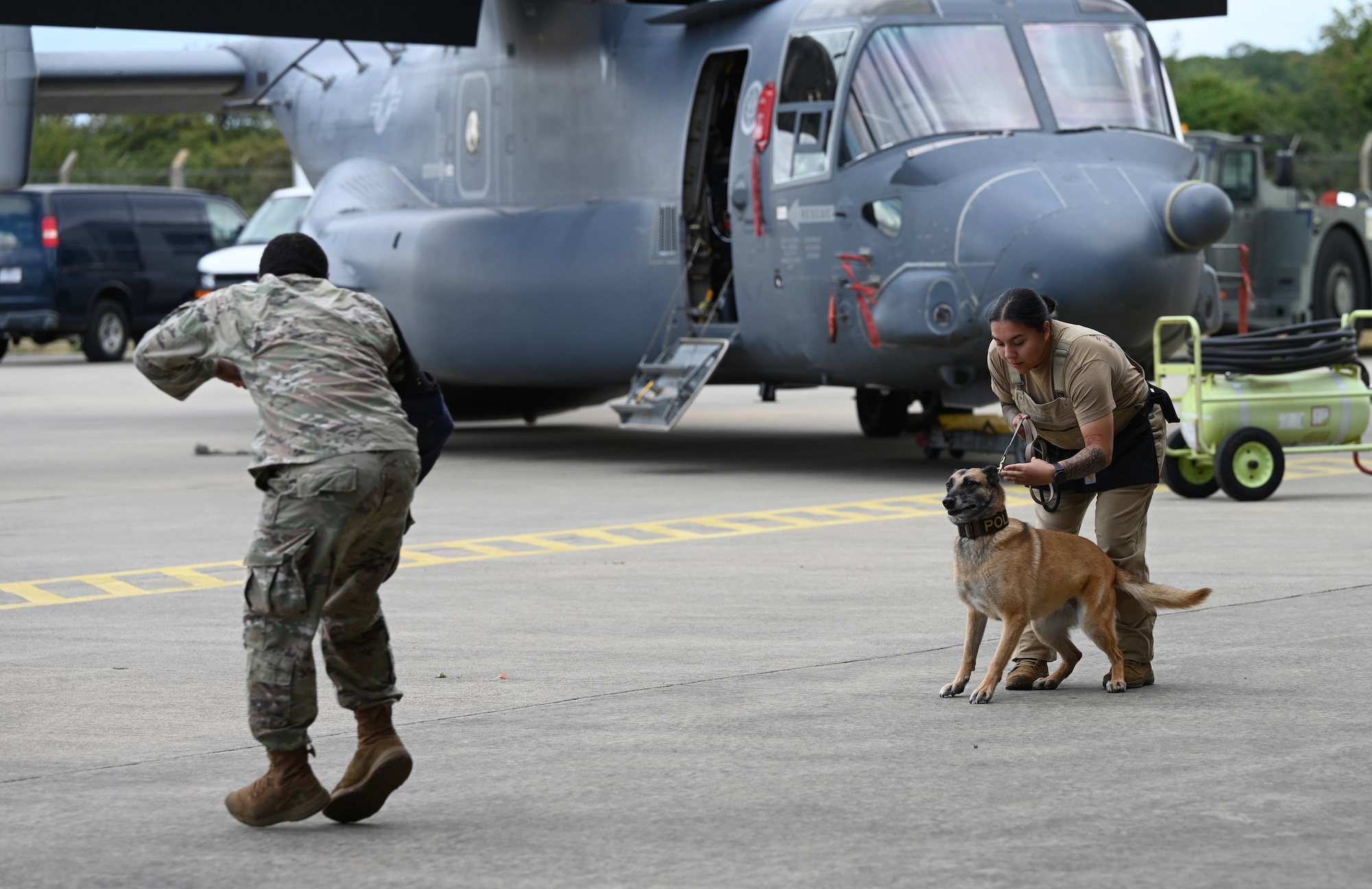 U.S. Air Force Senior Airman Karina Flores, right, 100th Security Forces Squadron Military Working Dog handler, prepares to release MWD Uta on a 100th SFS Airman role-playing as a “bad guy” during a K9 demonstration at the end of the Key Leaders Engagement Day at RAF Mildenhall, England, Aug. 20, 2026. Local civic leaders and key service providers from Suffolk, Norfolk and Cambridgeshire viewed base facilities, engaged with Team Mildenhall Airmen and civilians, and saw advanced military assets which execute our global mission every day. (U.S. Air Force photo by Karen Abeyasekere)