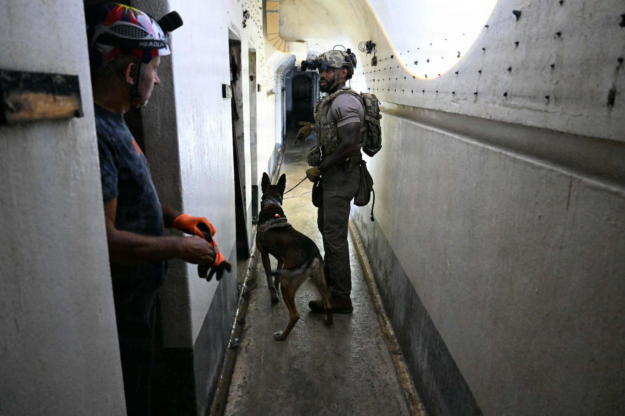 K-9 trainer communicates during training