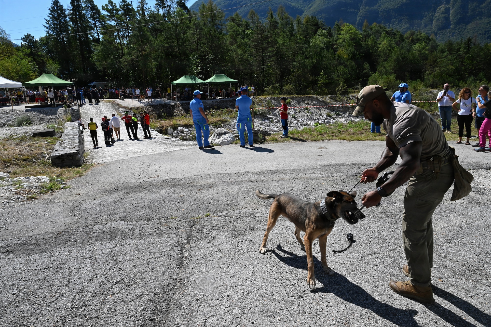 K-9 trainer conducts training with K-9