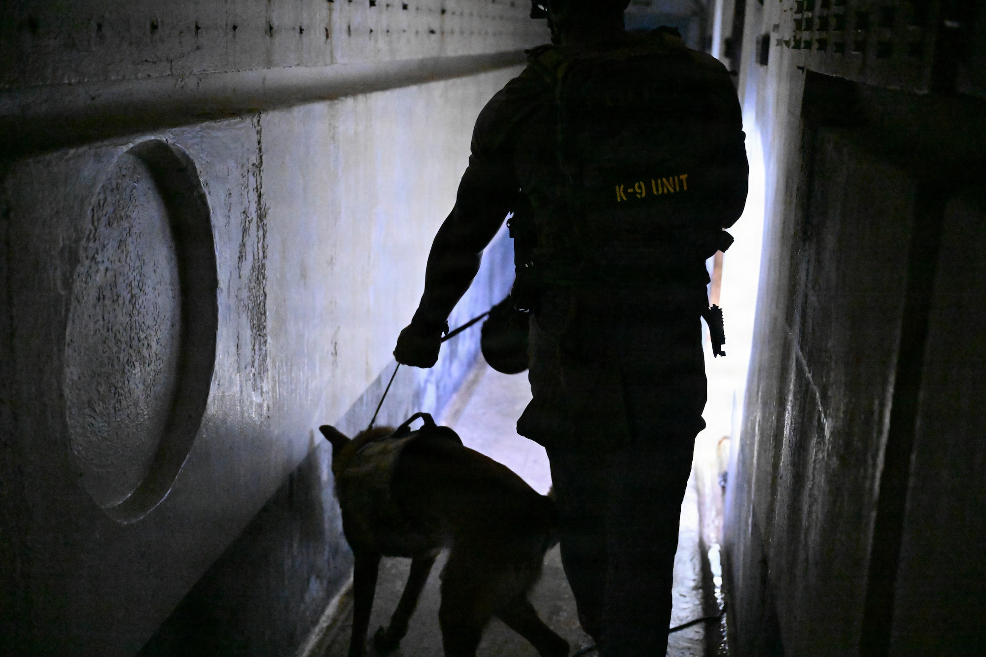 Trainer walks with dog in bunker.