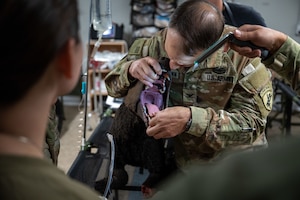 Checking airway