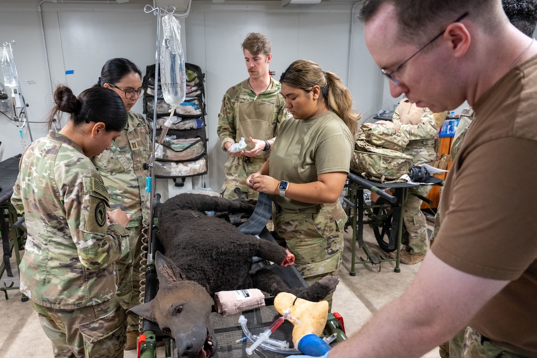 medical teams training