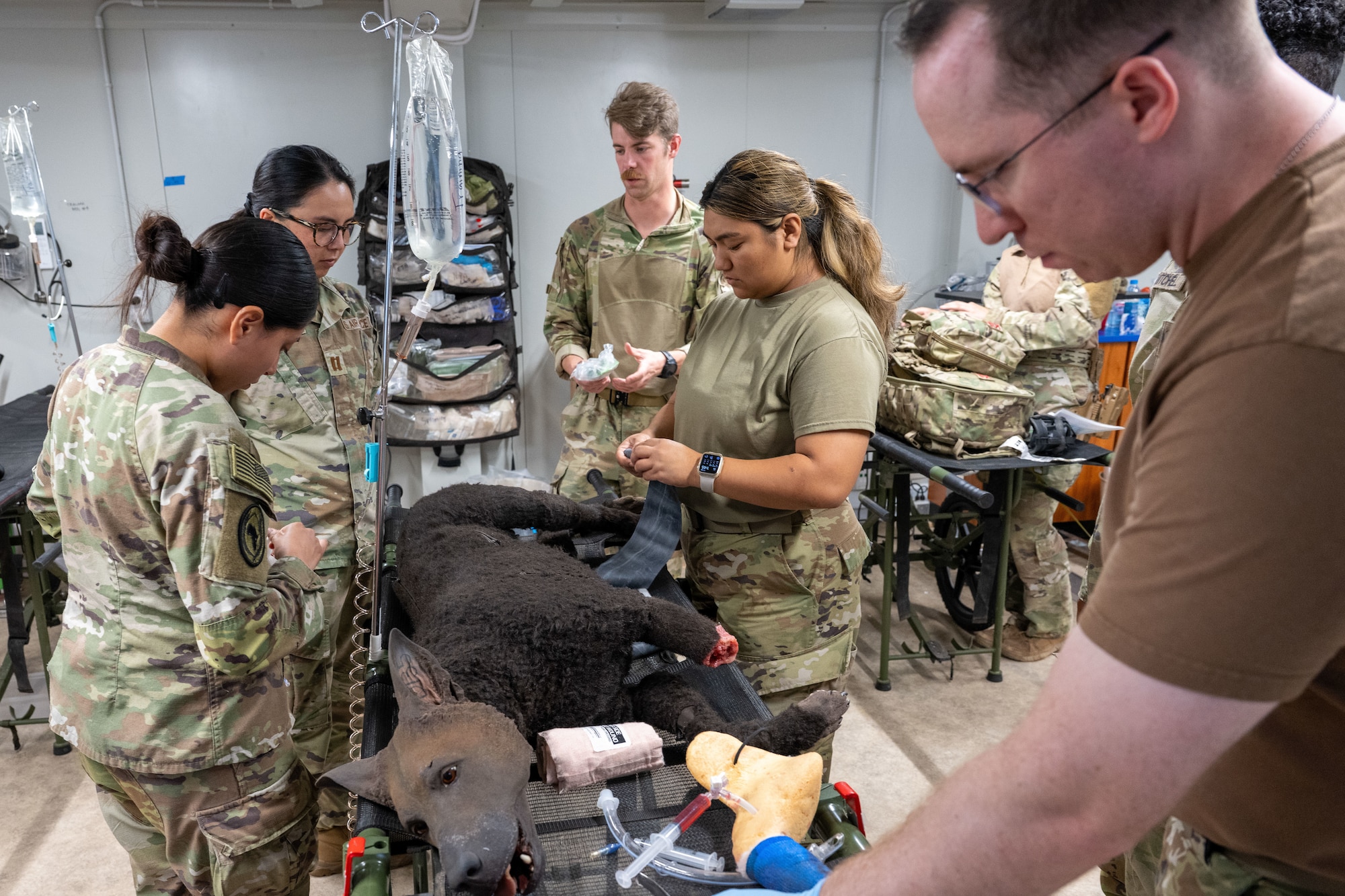 medical teams training