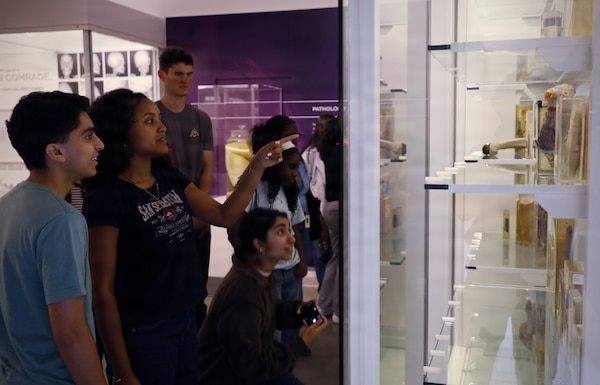SILVER SPRING, Md. (Aug. 14, 2026) Interns with Naval Medical Research Command’s (NMRC) Science and Engineering Apprenticeship Program (SEAP) and Naval Research Enterprise Internship Program (NREIP) take part in a guided tour of the National Museum of Health and Medicine. NMRC, headquarters of Navy Medicine Research & Development, is engaged in a broad spectrum of activity from basic science in the laboratory to field studies in austere and remote areas of the world to investigations in operational environments. In support of Navy, Marine Corps and joint U.S. warfighter health, readiness and lethality, researchers study infectious diseases, biological warfare detection and defense, combat casualty care, environmental health concerns, aerospace and undersea medicine, operational mission support and epidemiology. Navy Medicine’s 44,000+ talented and ready forces optimize health readiness, deliver quality healthcare, and provide global expeditionary medical support to warfighters. (U.S. Navy photo by Sidney Hinds/ Released)
